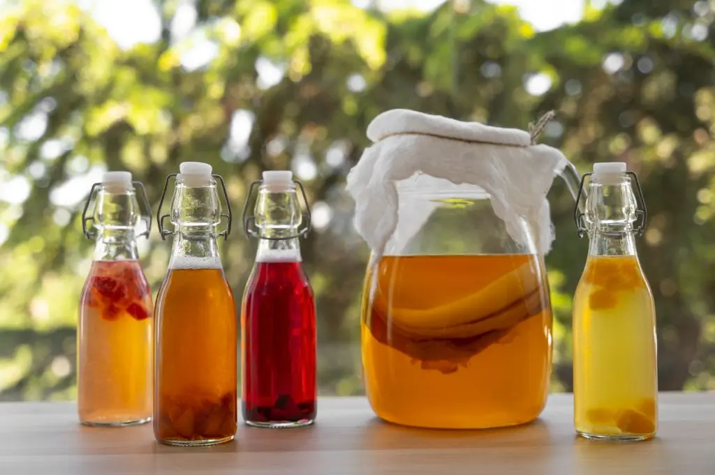 kombucha tea recipe