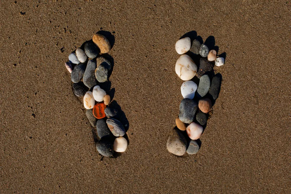 Meridians of the body