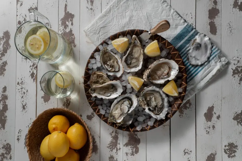 oysters