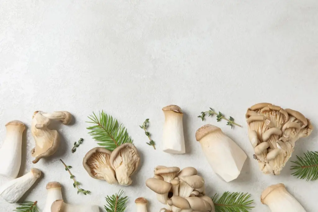 types of adaptogenic mushrooms