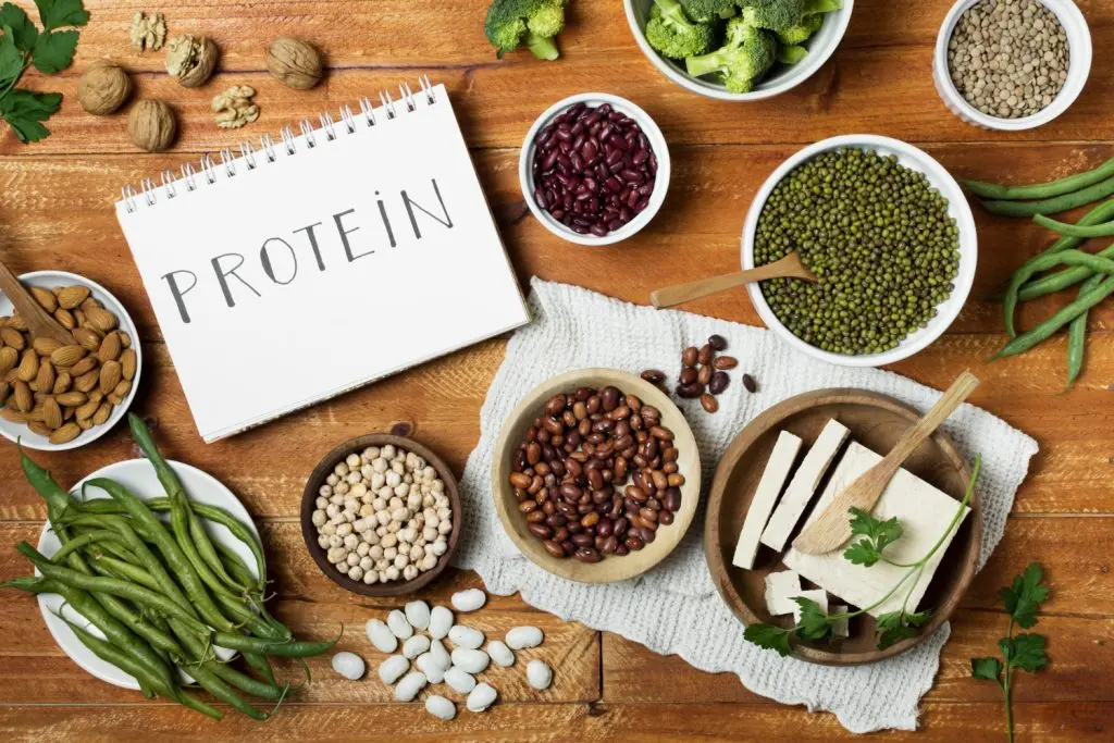 vegan protein powder