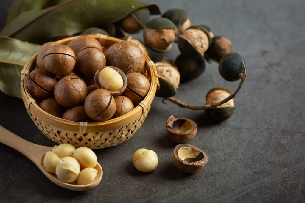 Argan Oil for hair