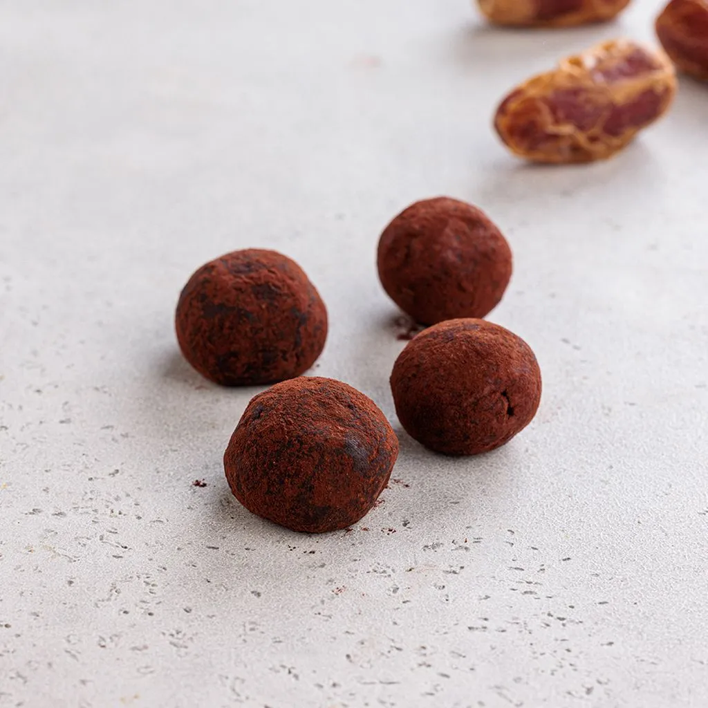 Cocoa Protein Bites